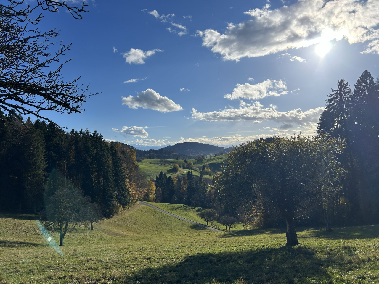 エコバウ建築ツアー(欧州視察) ⑧final